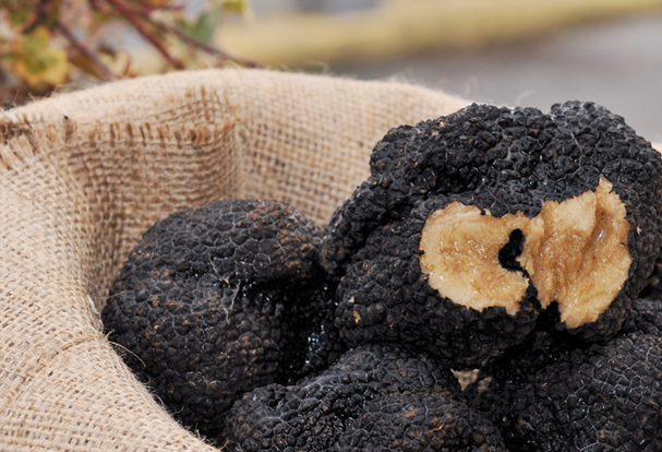 unconventional_tour umbria_tartufo_norcia