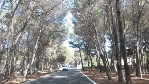 unconventional_tour Formentera