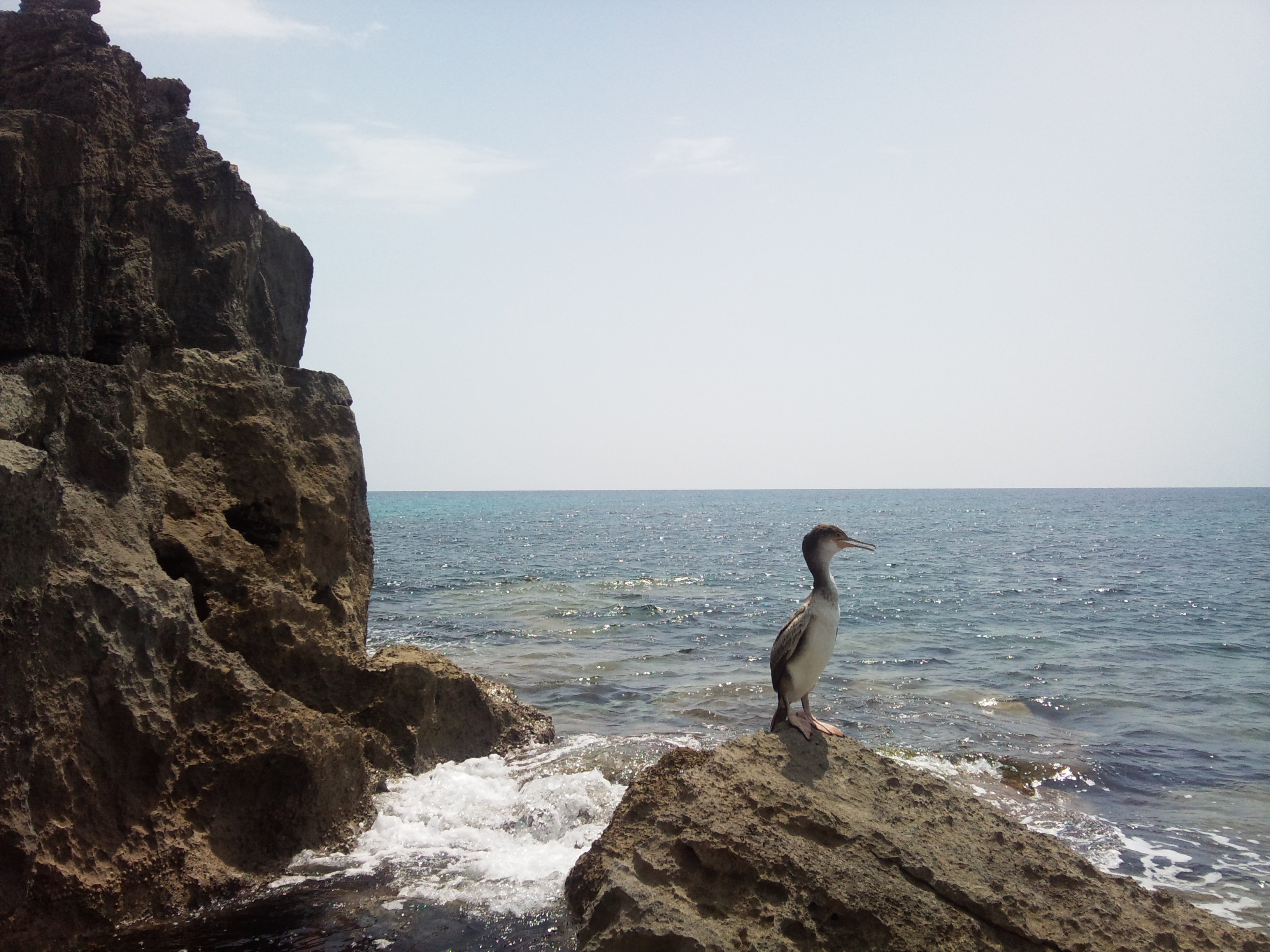 unconventional_tour Formentera