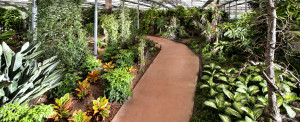 unconventional_tour raffeiner_giardino_3