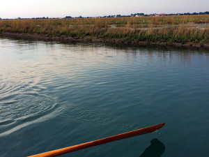 Voga Veneta in Laguna