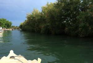 unconventional_tour img_0496_low