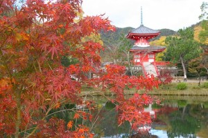 unconventional_tour kyoto_14
