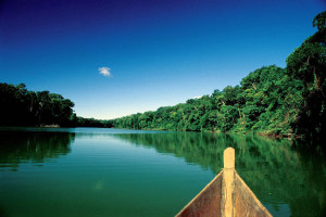 Perù alta Amazzonia Riserva Nazionale di Pacaya¬ Samiria