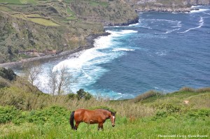Ilha de Sào Miguel