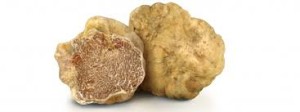 unconventional_tour Tartufo Bianco