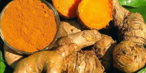 unconventional_tour Curcuma