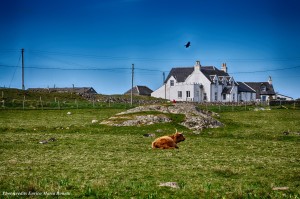 unconventional_tour 9 Isle Of Iona (8)