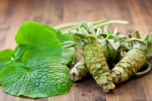 unconventional_tour Wasabi