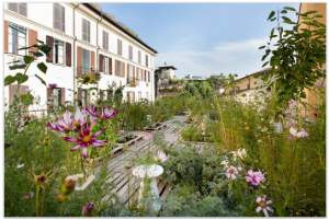 Piuarch, l'orto in quota