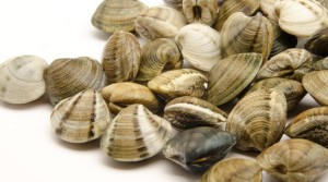 vongole,bevarasse e i caparossoli.